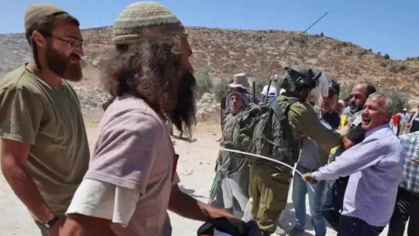 Over 300 Zionist Settler Attacks Target Palestinian Farmers Amid Olive Harvest